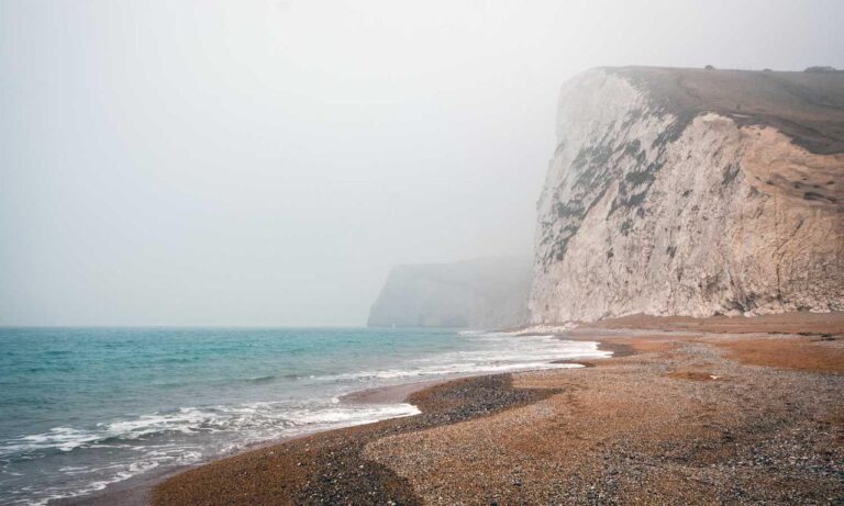 advantages of meetshaxs software