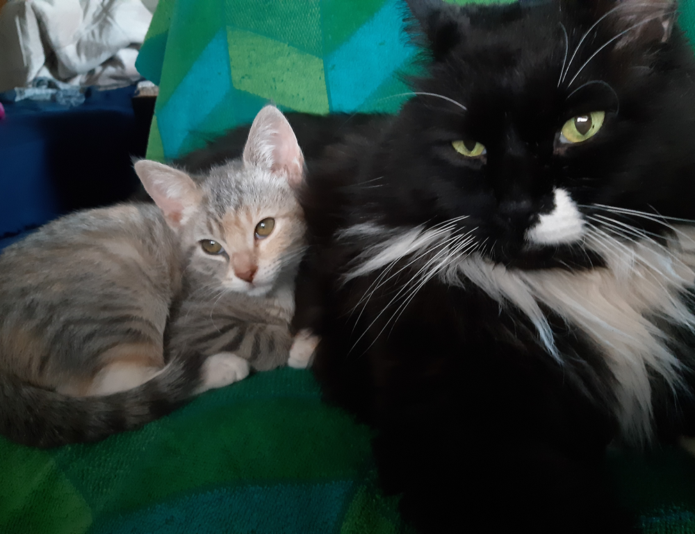 emerging tech trends etrstech