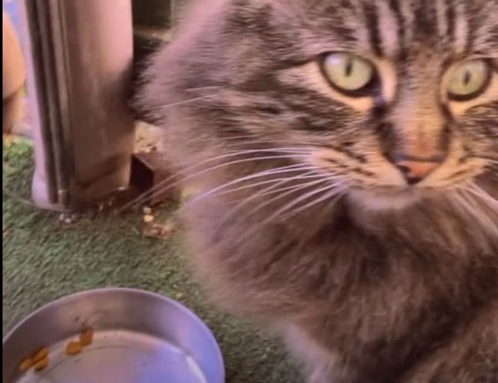 gfxpixelment photoshop guide bygfxmaker