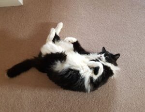 graphic design with ai gfxtek