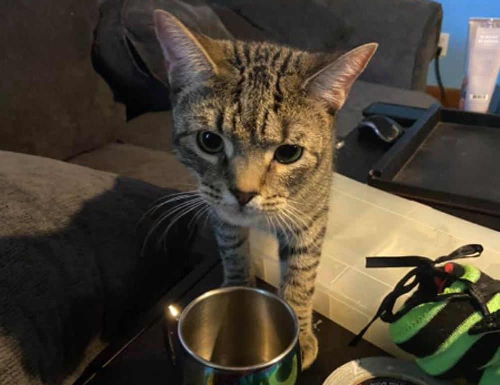 graphics software guide gfxtek