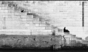 guides release dates gamrawtek