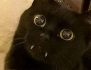 how detailed should a logo be flpsymbolcity