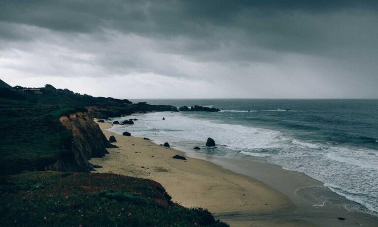 how to apply zosisfod eyebrow pencil