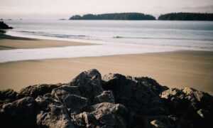 how to download biszoxtall software