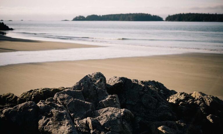 how to download biszoxtall software