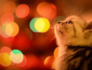 how to learn graphic design for free gfxtek