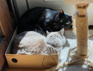 jotechgeeks technology updates from javaobjects