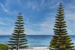 latest tech news gmrrcomputer