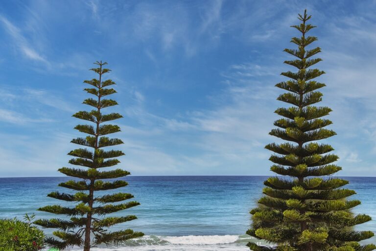 latest tech news gmrrcomputer