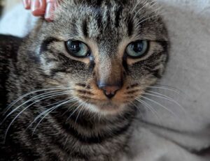 latest tech trends togtechify