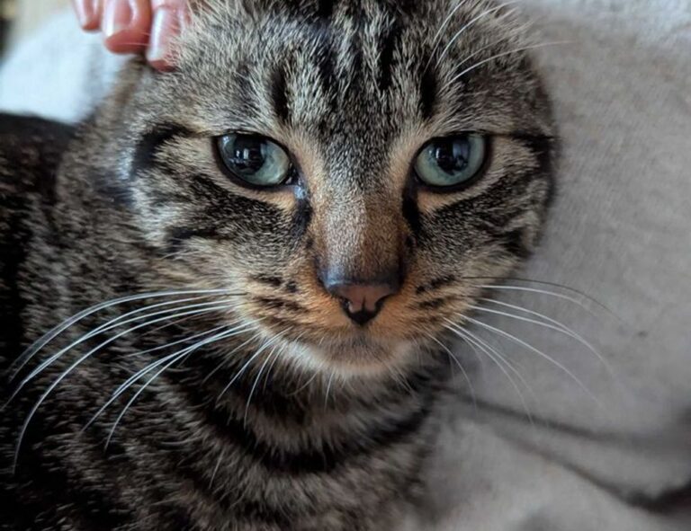 latest tech trends togtechify