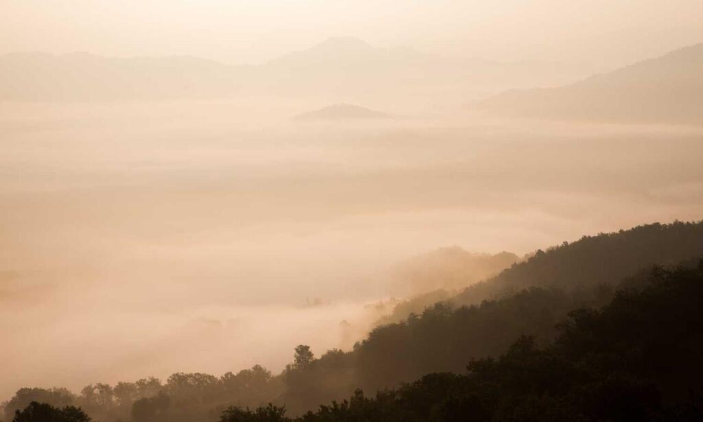 latest tech updates scookietech