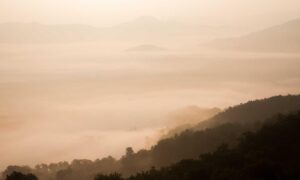 latest tech updates scookietech