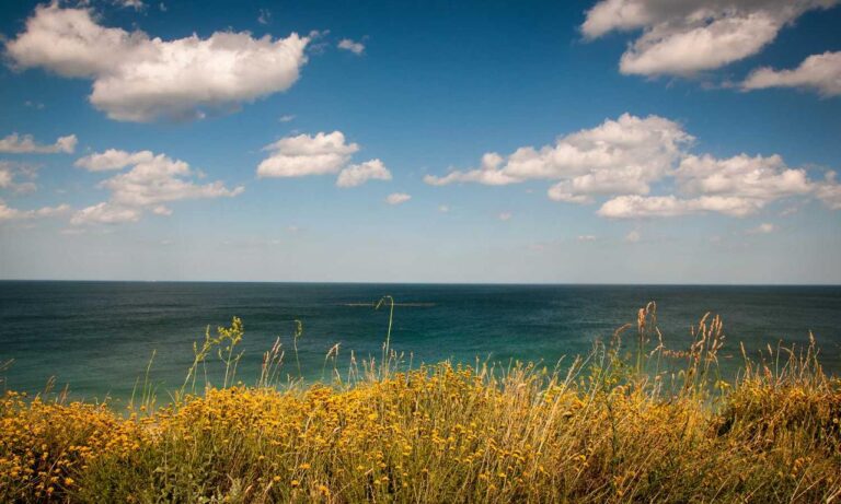 major trends in technology togtechify