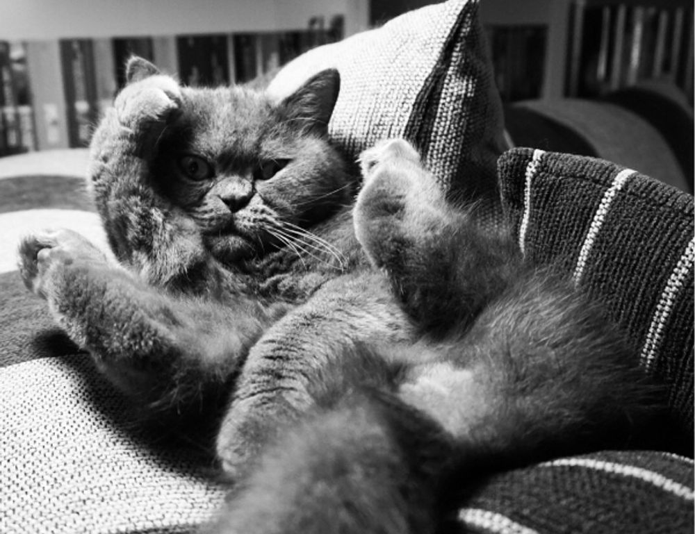 photoshop guide gfxpixelment