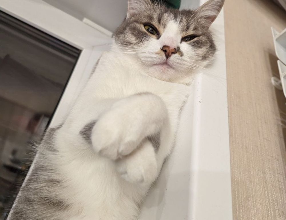 python error oxzep7 software