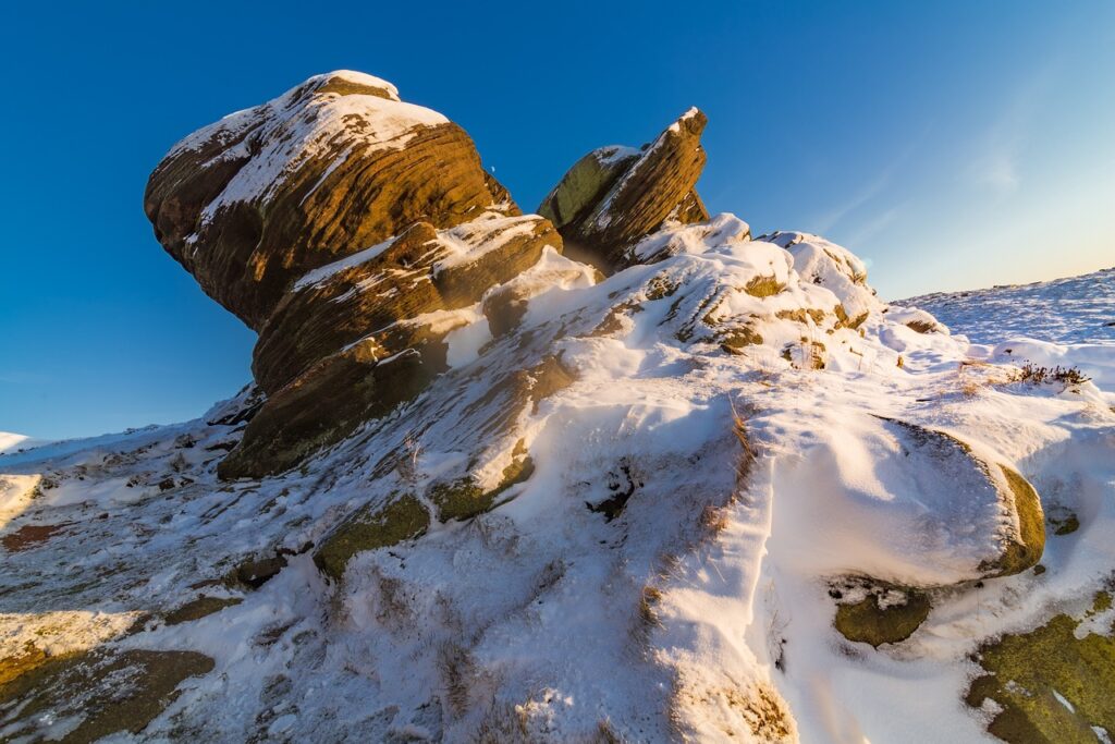 roartechmental programming advisor from riproar