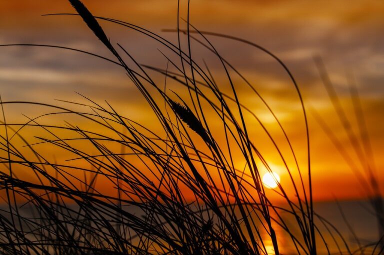 software advice wbsoftwarement