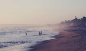 software bug llusyep python