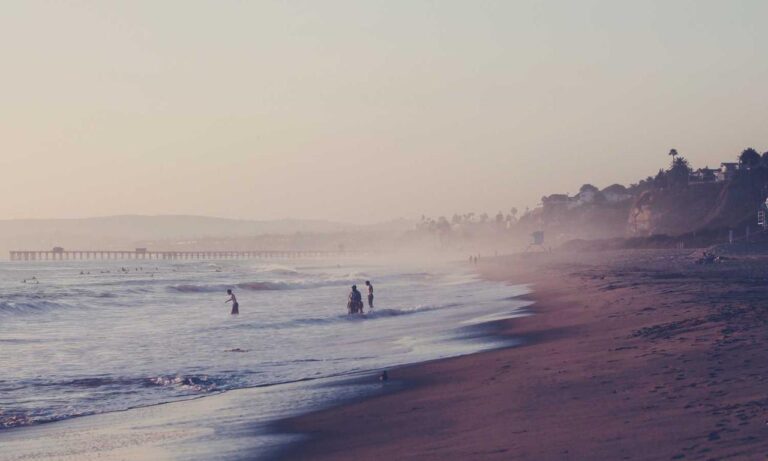 software bug llusyep python