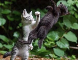 tech news jotechgeeks