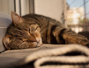 tech upgrades gamrawtek