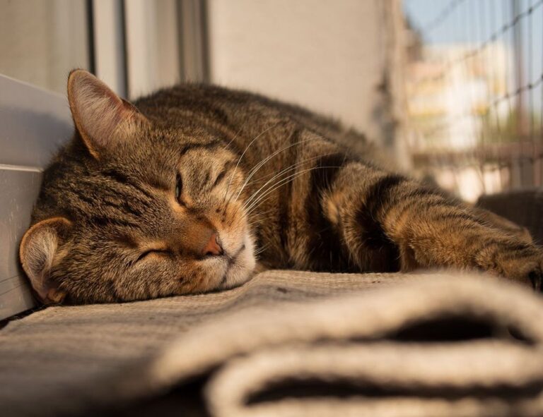 tech upgrades gamrawtek