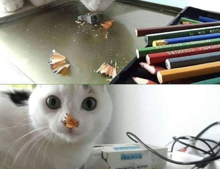 technology news jotechgeeks