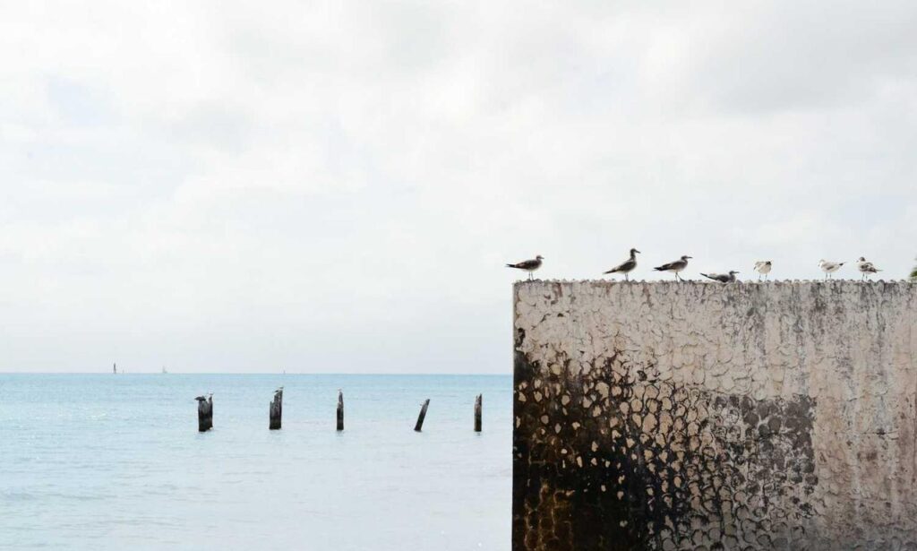 togtechify world tech by thinksofgamers