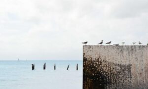 togtechify world tech by thinksofgamers