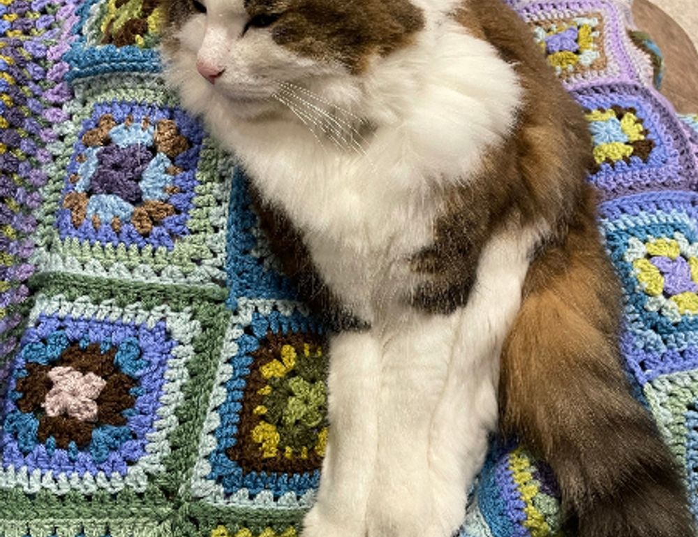 top tech news scookietech