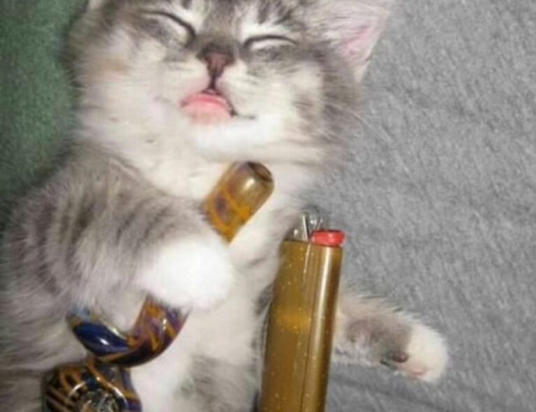 trending tech news gmrrcomputer