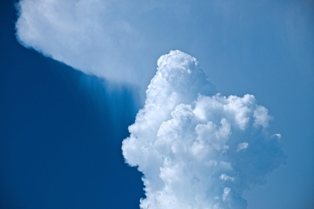 watchworthy-timeline