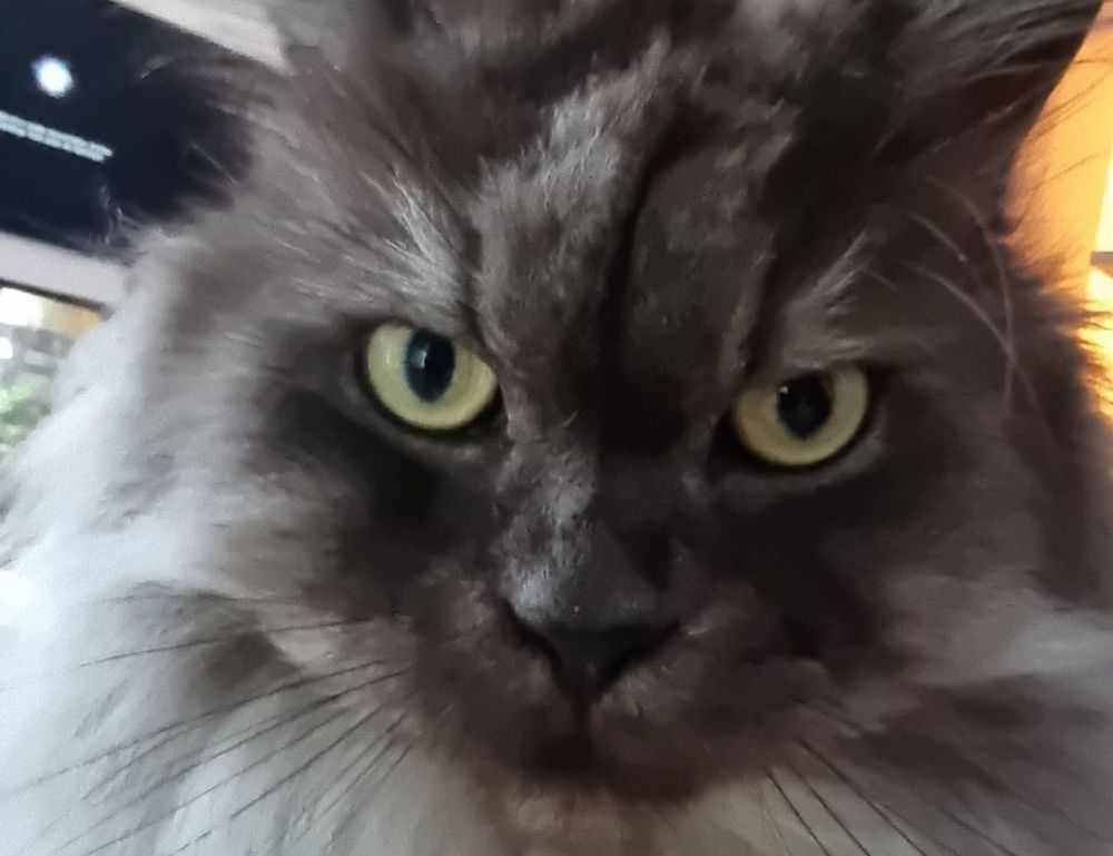 what a graphic designer can make gfxtek