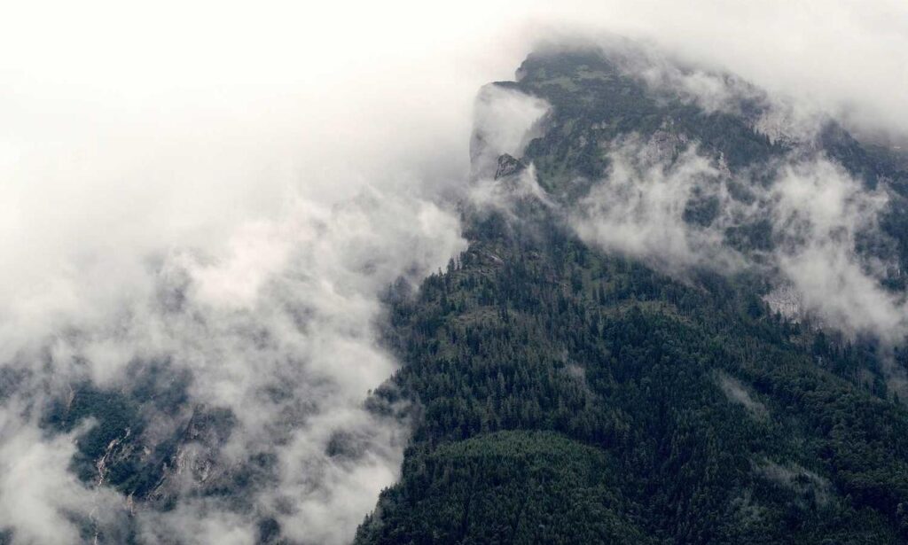 what are cybersecurity software wbsoftwarement