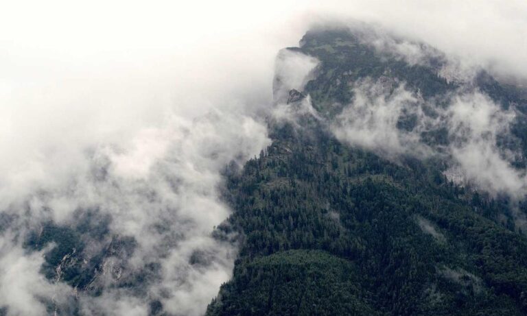 what are cybersecurity software wbsoftwarement