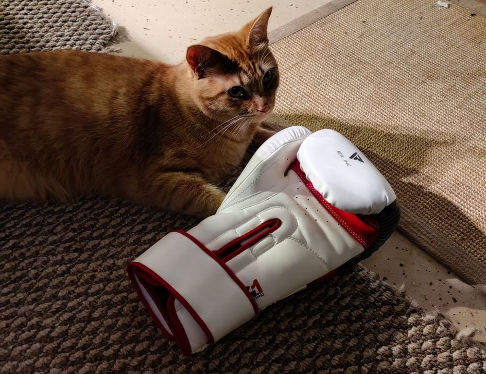 what new technology is coming scookietech