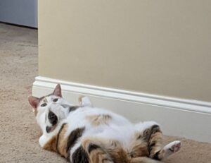 what tech came out in 2022 jotechgeeks