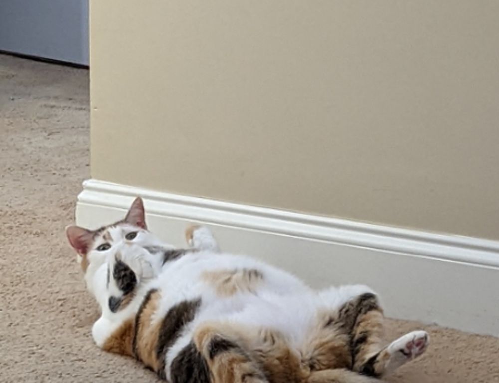 what tech came out in 2022 jotechgeeks