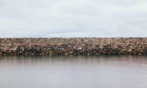 which logos package should i buy flpsymbolcity