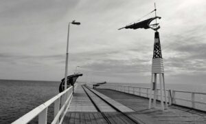 which tech stock to buy roartechmental