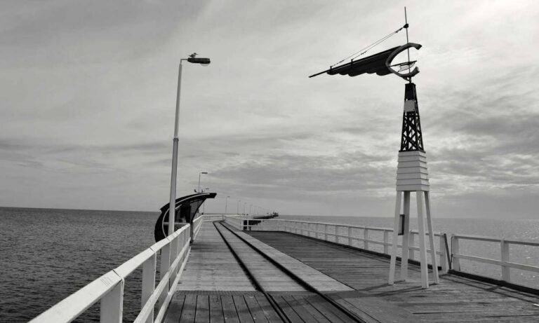 which tech stock to buy roartechmental