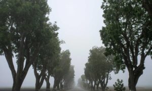 why use uhoebeans software in business