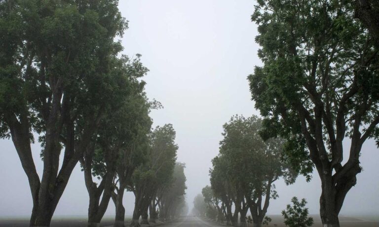 why use uhoebeans software in business