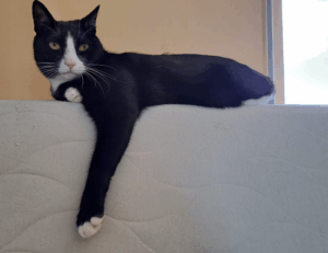 world tech news togtechify