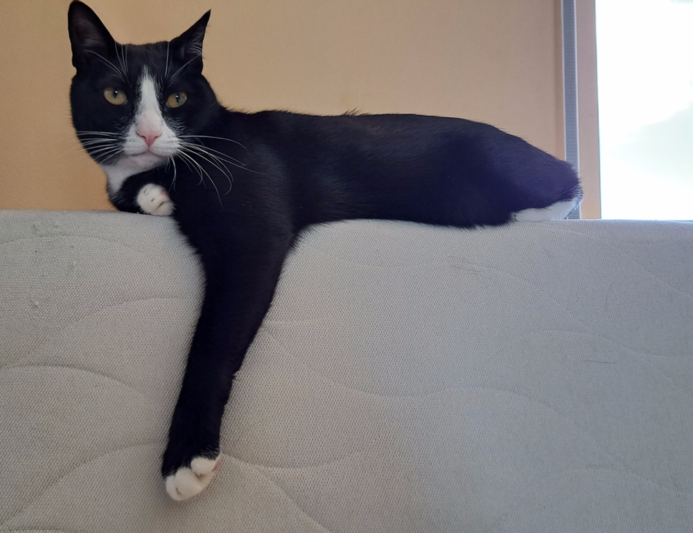 world tech news togtechify