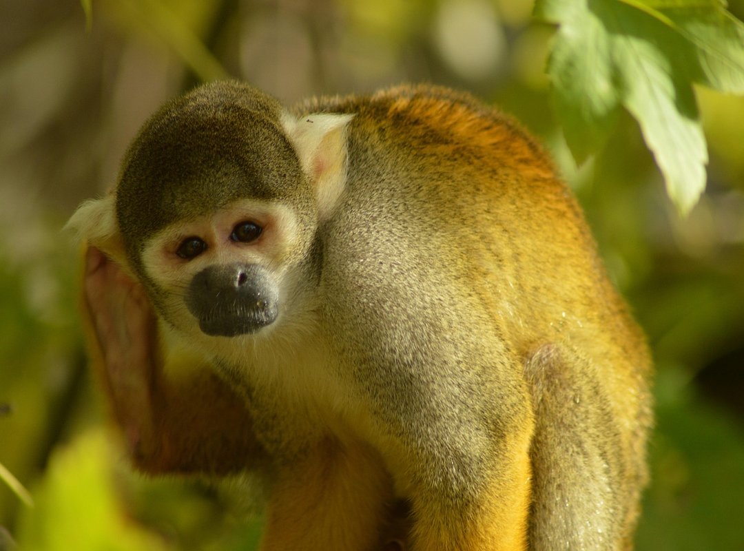 Gfxdigitational Tech Guide From Gfxmaker