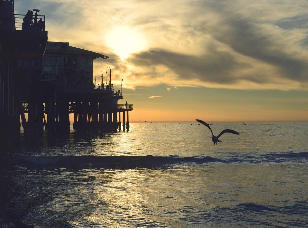 Comparing Your Options: Your Bank vs. A Currency Specialist