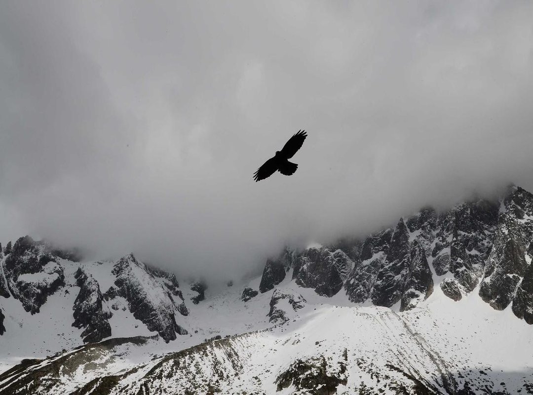 Step-by-Step: Calculating 744 kJ in Calories